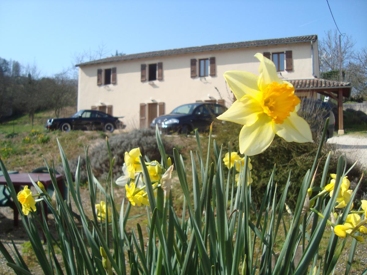 Hotel Le Relais Du Chateau Grignols  Kültér fotó