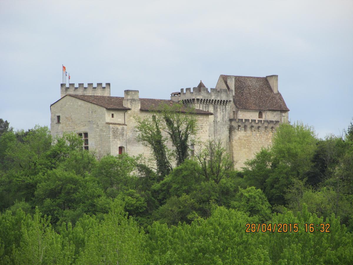 Hotel Le Relais Du Chateau Grignols  Kültér fotó