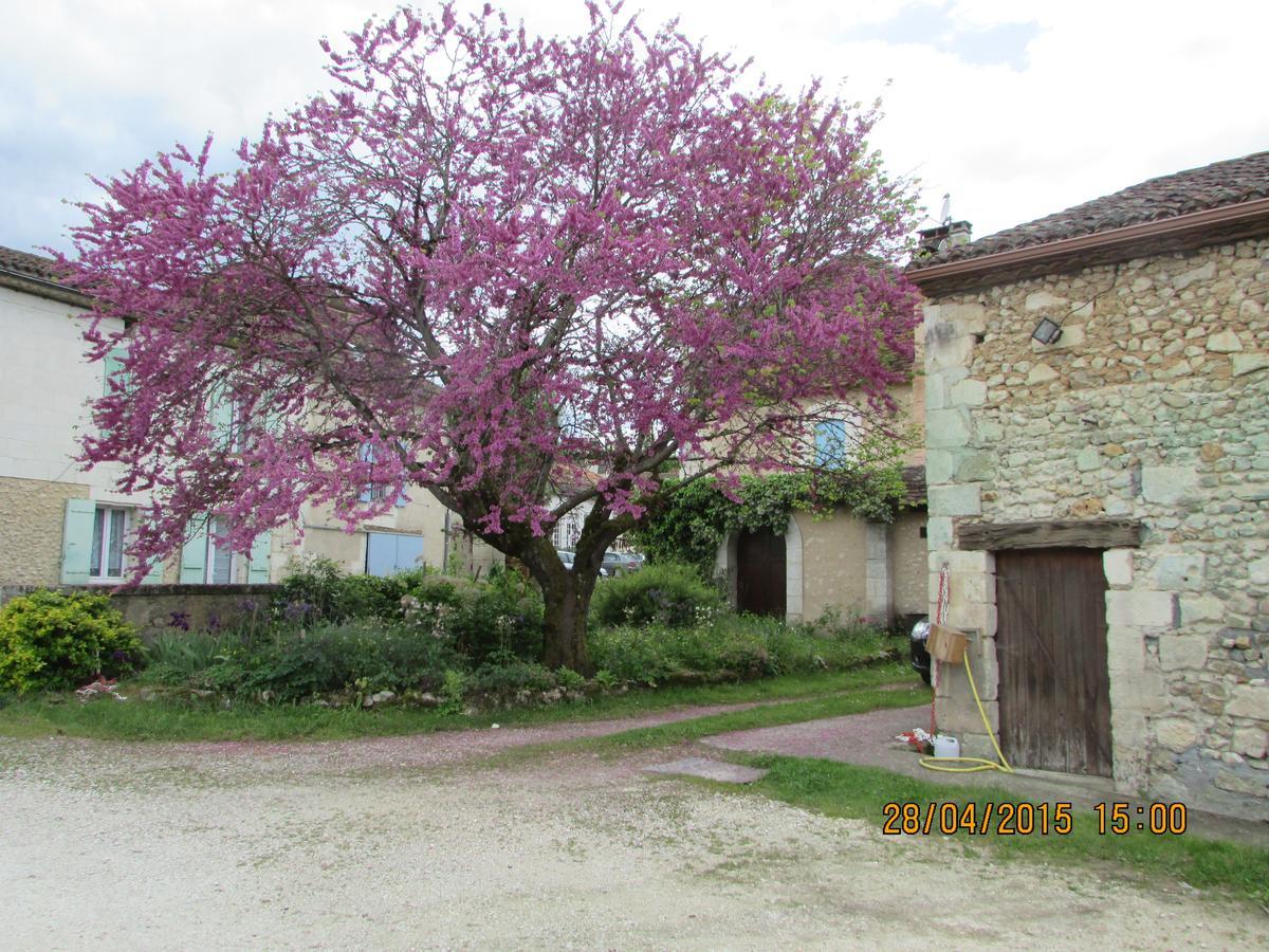 Hotel Le Relais Du Chateau Grignols  Kültér fotó